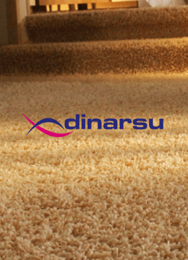 dinarsu